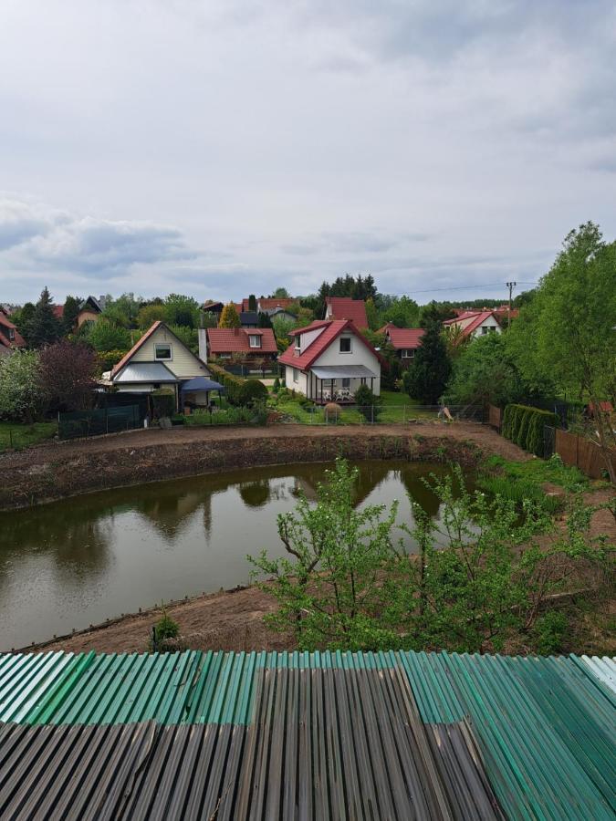 Oaza Olsztyn (Warmian-Masurian)